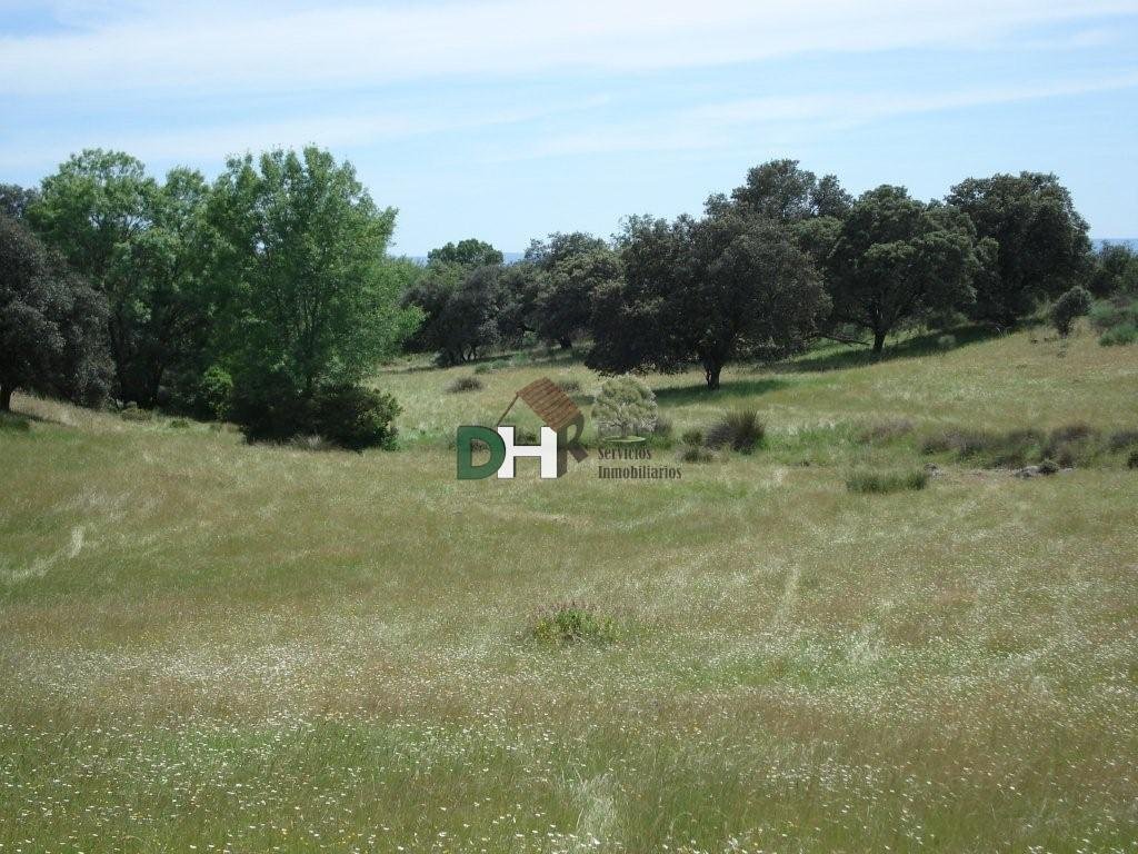 Land in Cáceres, Extremadura, Spain 4 - 14967069