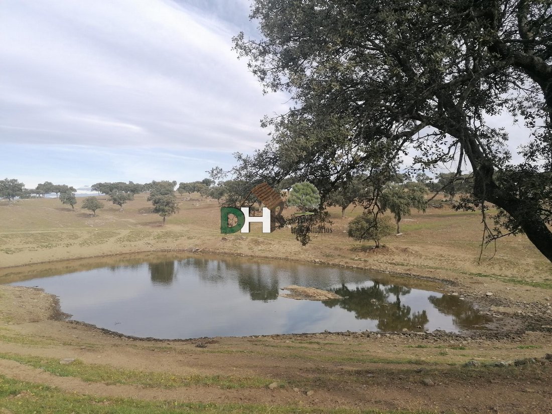 Land in Cáceres, Extremadura, Spain 4 - 13111272