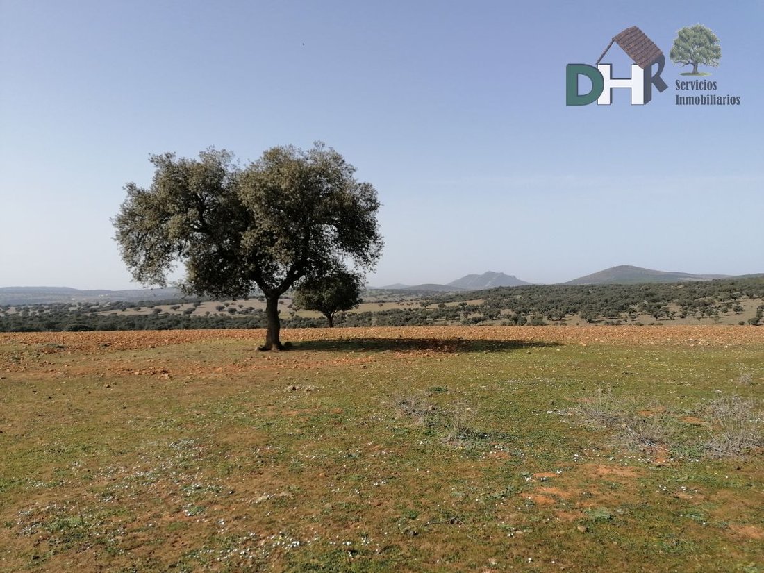 Land in Badajoz, Extremadura, Spain 5 - 13111405