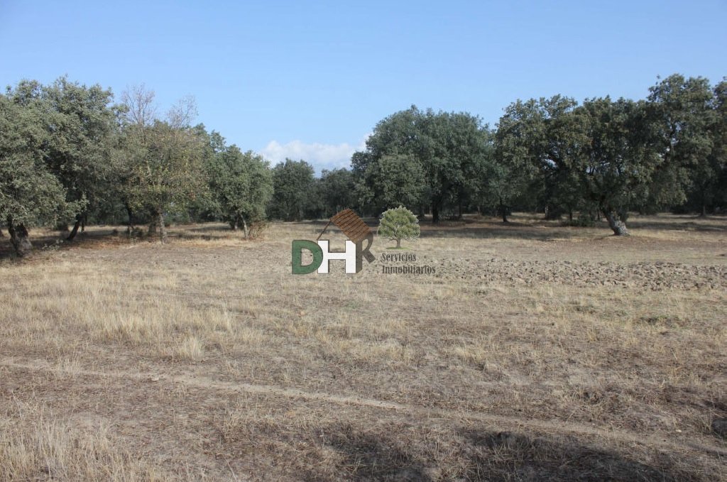 Land in Cáceres, Extremadura, Spanien 1 - 13402300