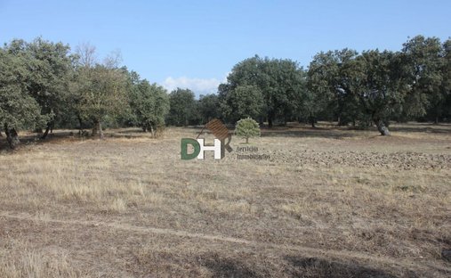 Land in Cáceres, Extremadura, Spain 1
