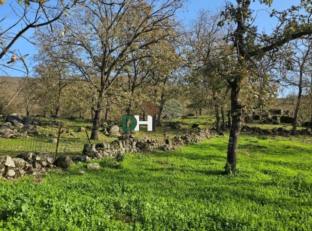 Land in Cáceres, Extremadura, Spain 5 - 15269877