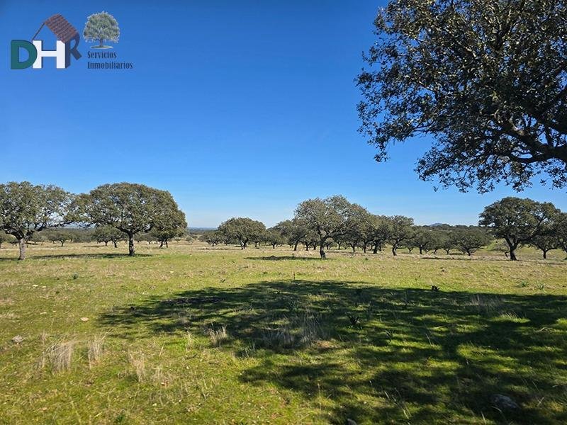 Land in Cáceres, Extremadura, Spain 4 - 17306191