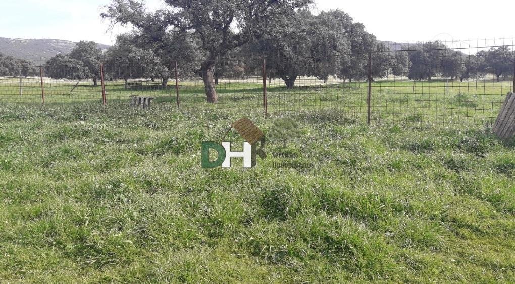 Land in Ciudad Real, Kastilien-La Mancha, Spanien 2 - 14411644