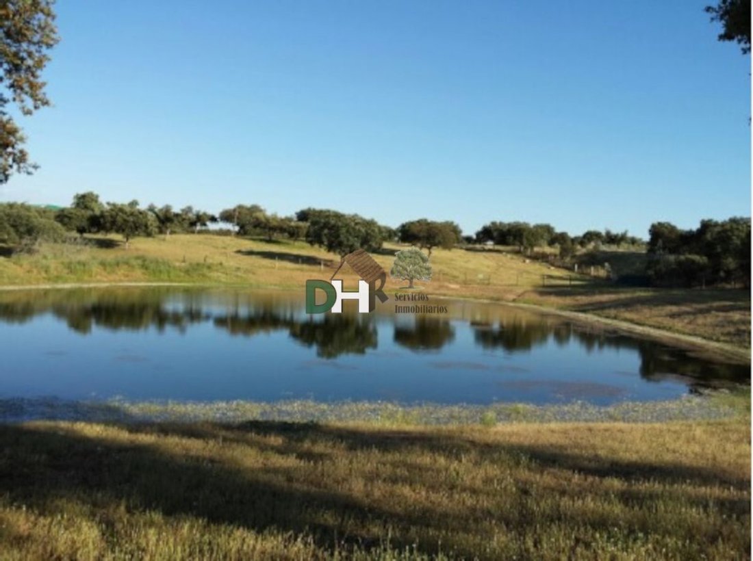 Terrain à Torrejón el Rubio, Estrémadure, Espagne 4 - 13111431