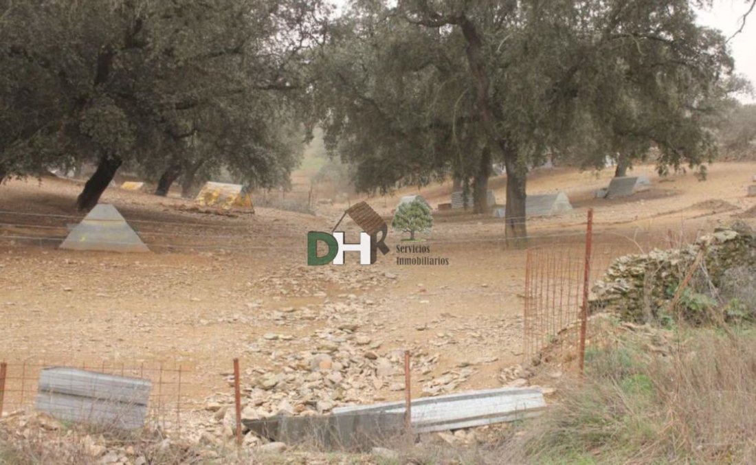 Land in Badajoz, Extremadura, Spain 2 - 13111168