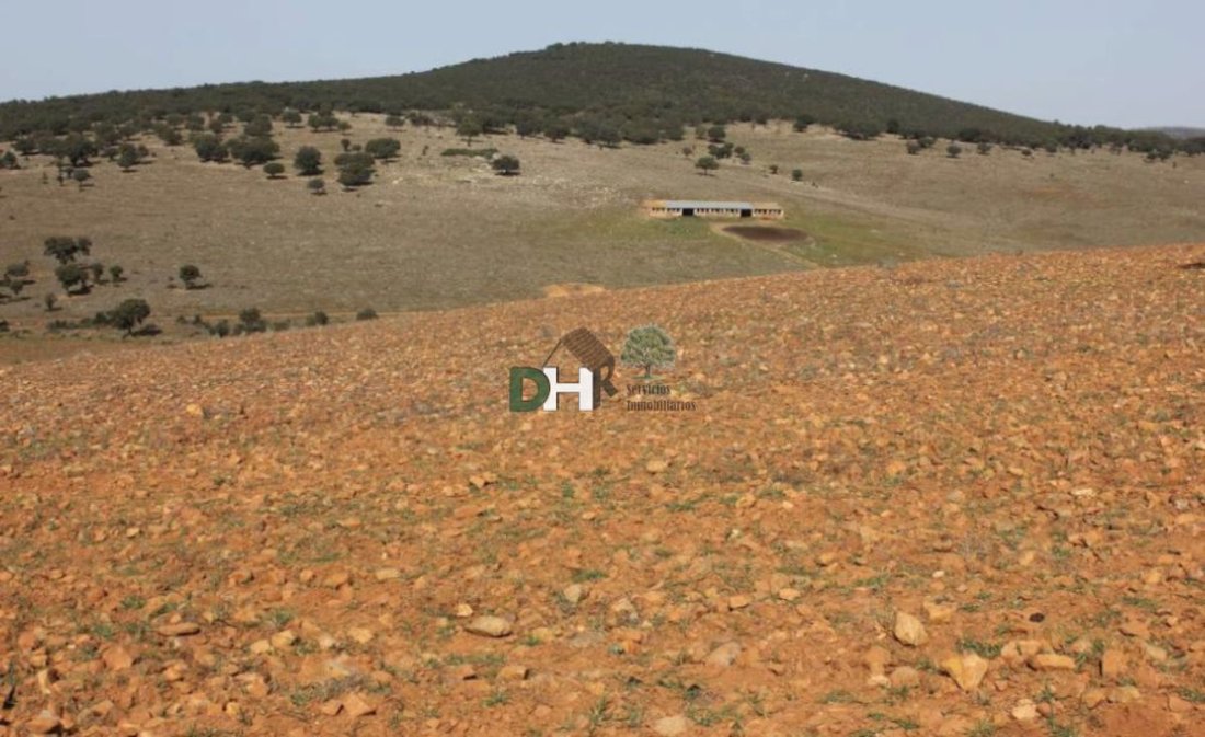 Land in Badajoz, Extremadura, Spain 1 - 13111405