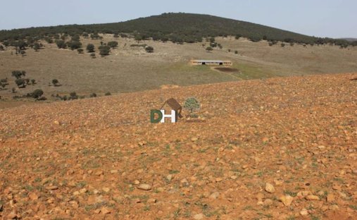 Terreno a Badajoz, Estremadura, Spagna 1