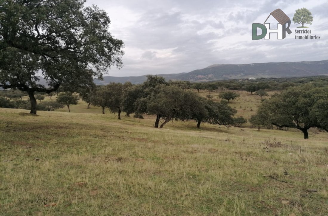 Land in Cáceres, Extremadura, Spain 5 - 13111434