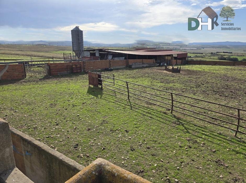 Land in Cáceres, Extremadura, Spain 5 - 16584292