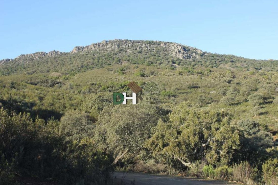 Land in Cáceres, Extremadura, Spanien 1 - 15500994