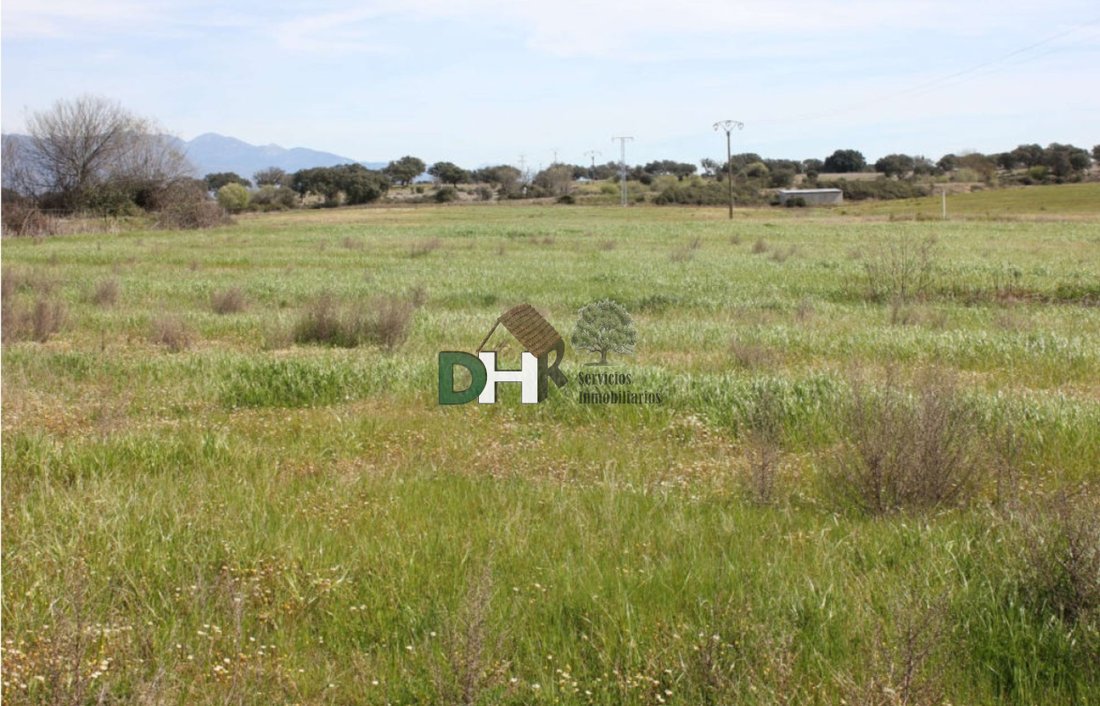 Land in Cáceres, Extremadura, Spain 4 - 13111482