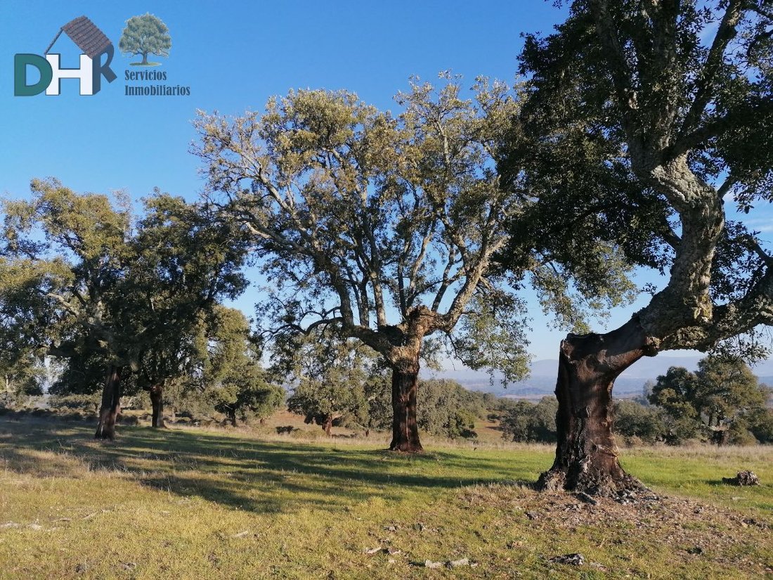Land in Cáceres, Extremadura, Spain 4 - 13111402