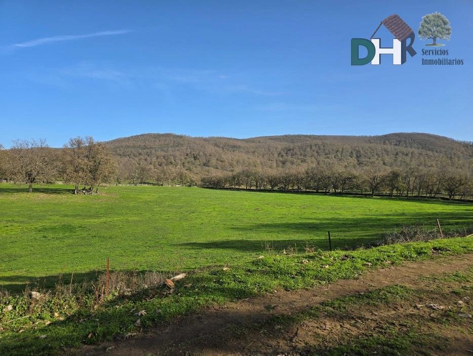 Land in Cáceres, Extremadura, Spain 1 - 15269877