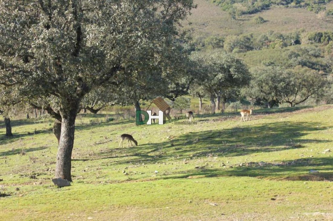Land in Cáceres, Extremadura, Spanien 4 - 15500994