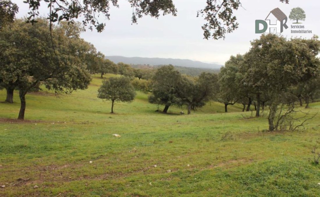 Land in Cáceres, Extremadura, Spain 5 - 13111356