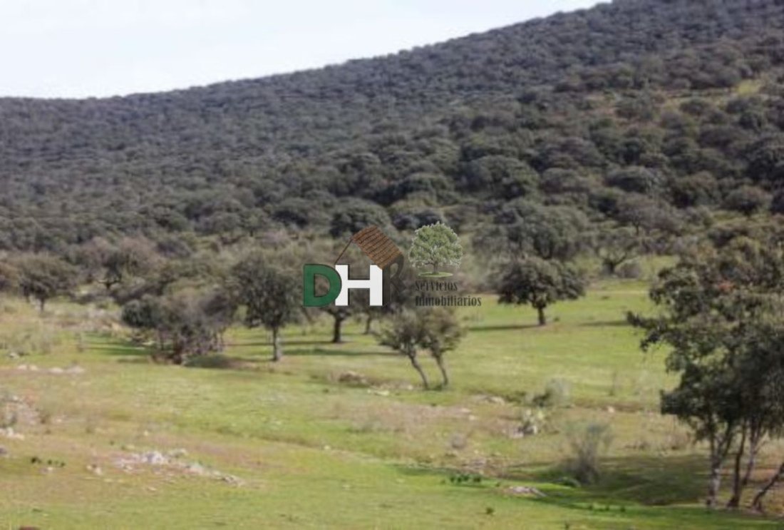 Land in Cáceres, Extremadura, Spain 5 - 13111339