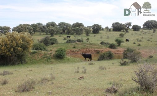 Land in Centro, Salamanca, Spanien 1