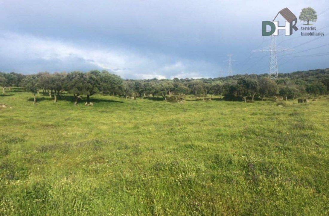 Land in Cáceres, Extremadura, Spain 4 - 13111248