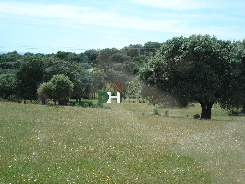 Land in Cáceres, Extremadura, Spain 5 - 14967069