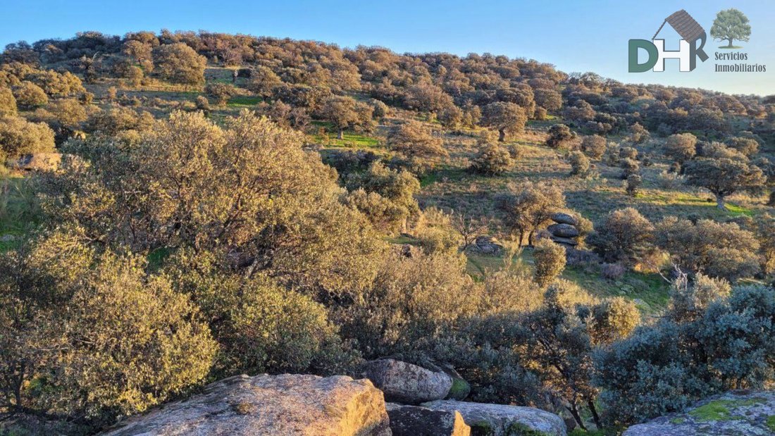 Land in Cáceres, Extremadura, Spain 4 - 13111462
