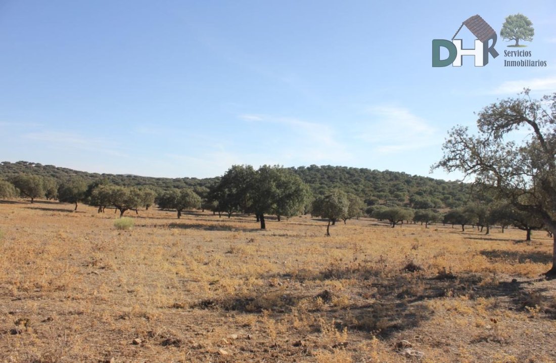 Land in Cáceres, Extremadura, Spanien 3 - 13963760