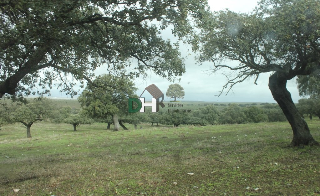 Land in Cáceres, Extremadura, Spain 3 - 13438644
