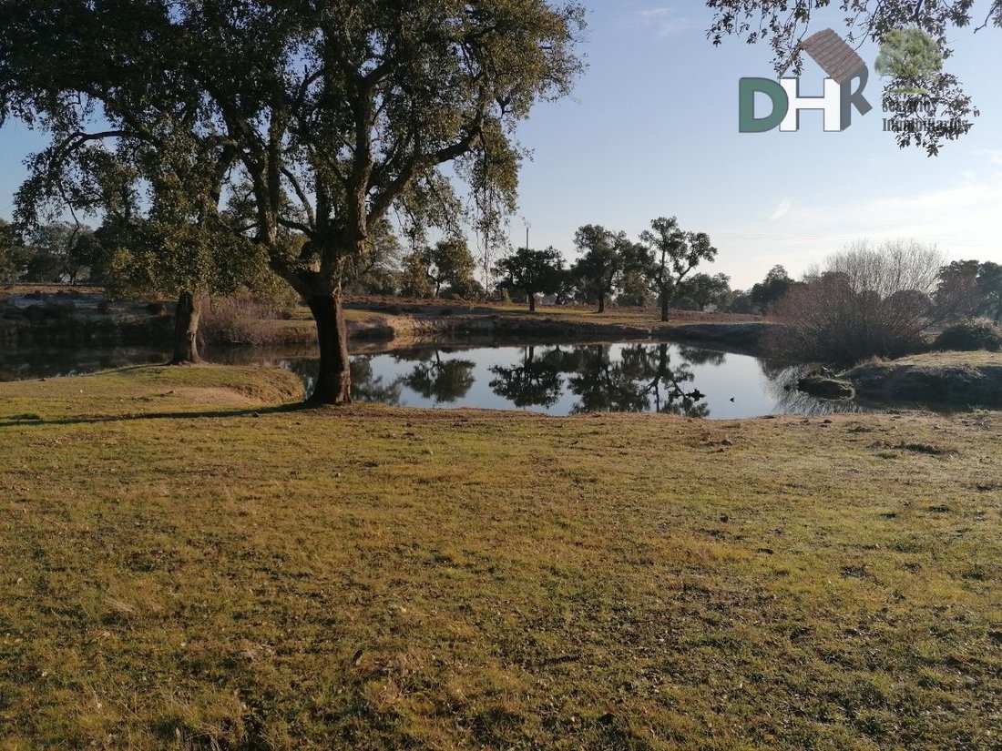 Land in Cáceres, Extremadura, Spain 5 - 13111402
