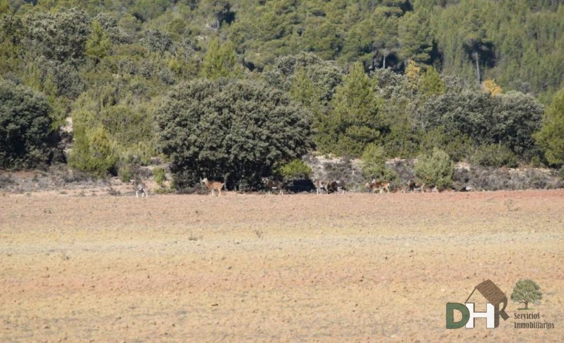 Terrain à Cuenca, Castille-La Manche, Espagne 5 - 13111435