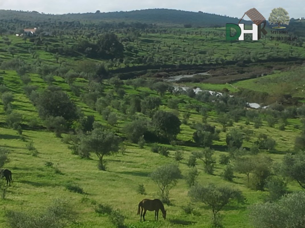 Terreno a Badajoz, Estremadura, Spagna 2 - 13466440
