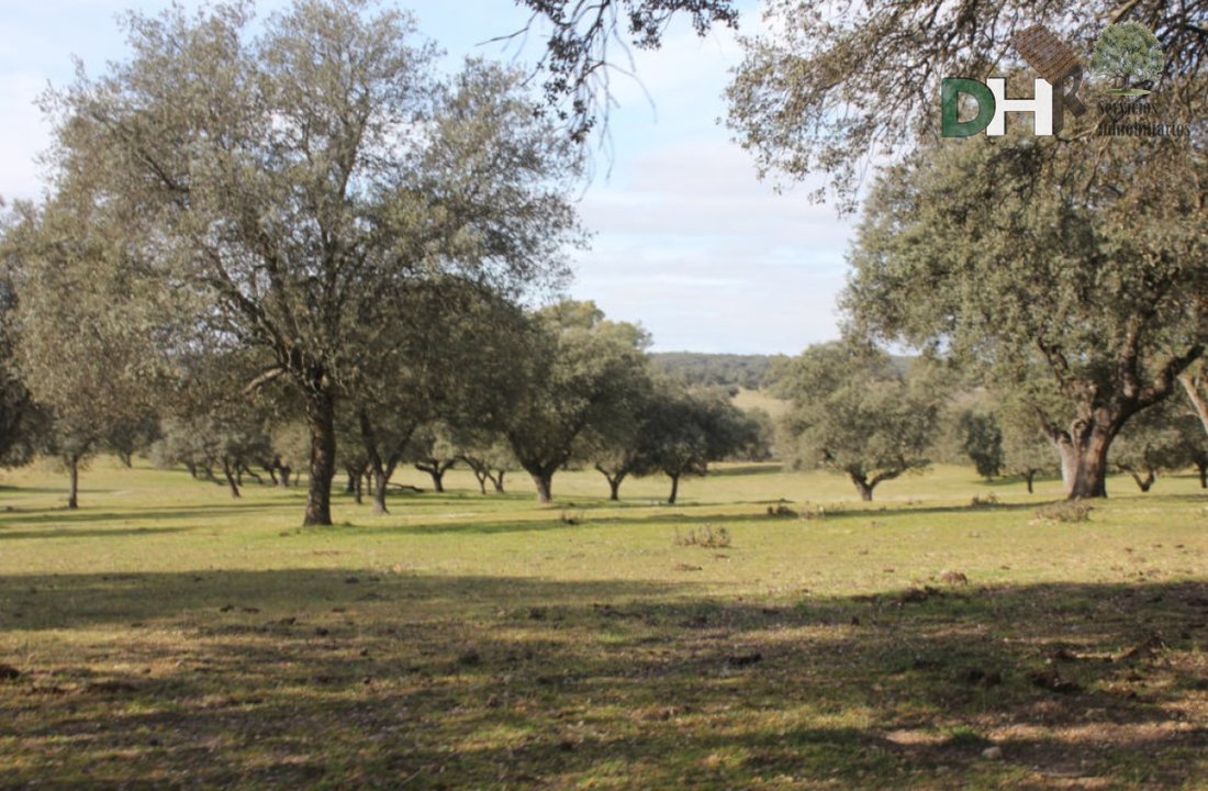 Terrain à Tolède, Castille-La Manche, Espagne 1 - 13111475