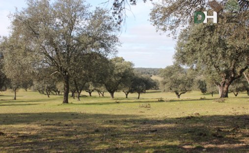 Land in Toledo, Castile-La Mancha, Spain 1