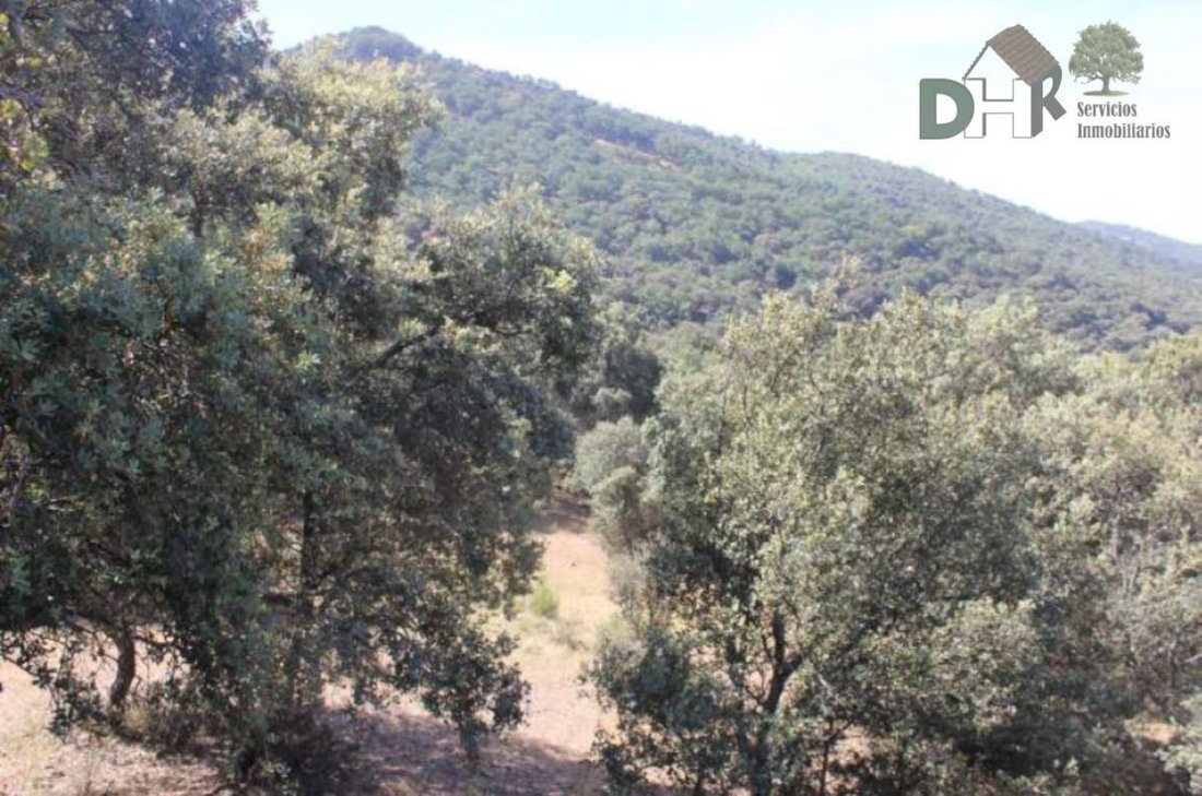 Land in Cáceres, Extremadura, Spain 3 - 13111448