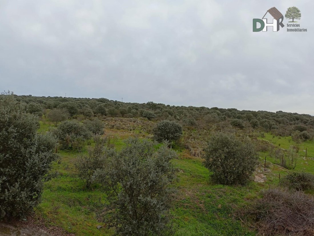 Land in Cáceres, Extremadura, Spain 5 - 14967067