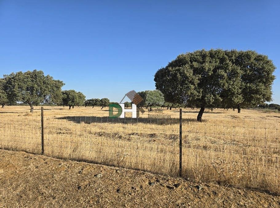 Land in Badajoz, Extremadura, Spanien 3 - 16462926