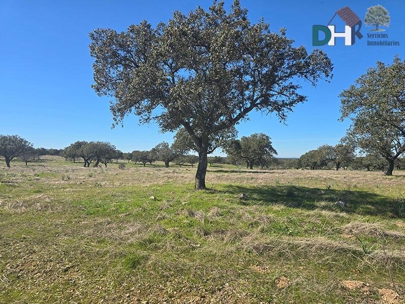 Land in Cáceres, Extremadura, Spain 2 - 17306191