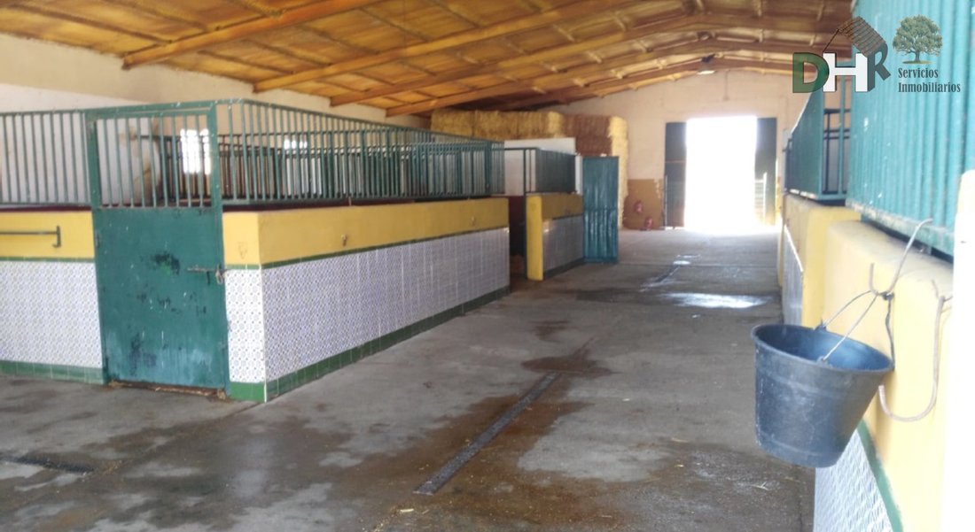 Terreno a Badajoz, Estremadura, Spagna 4 - 13466440