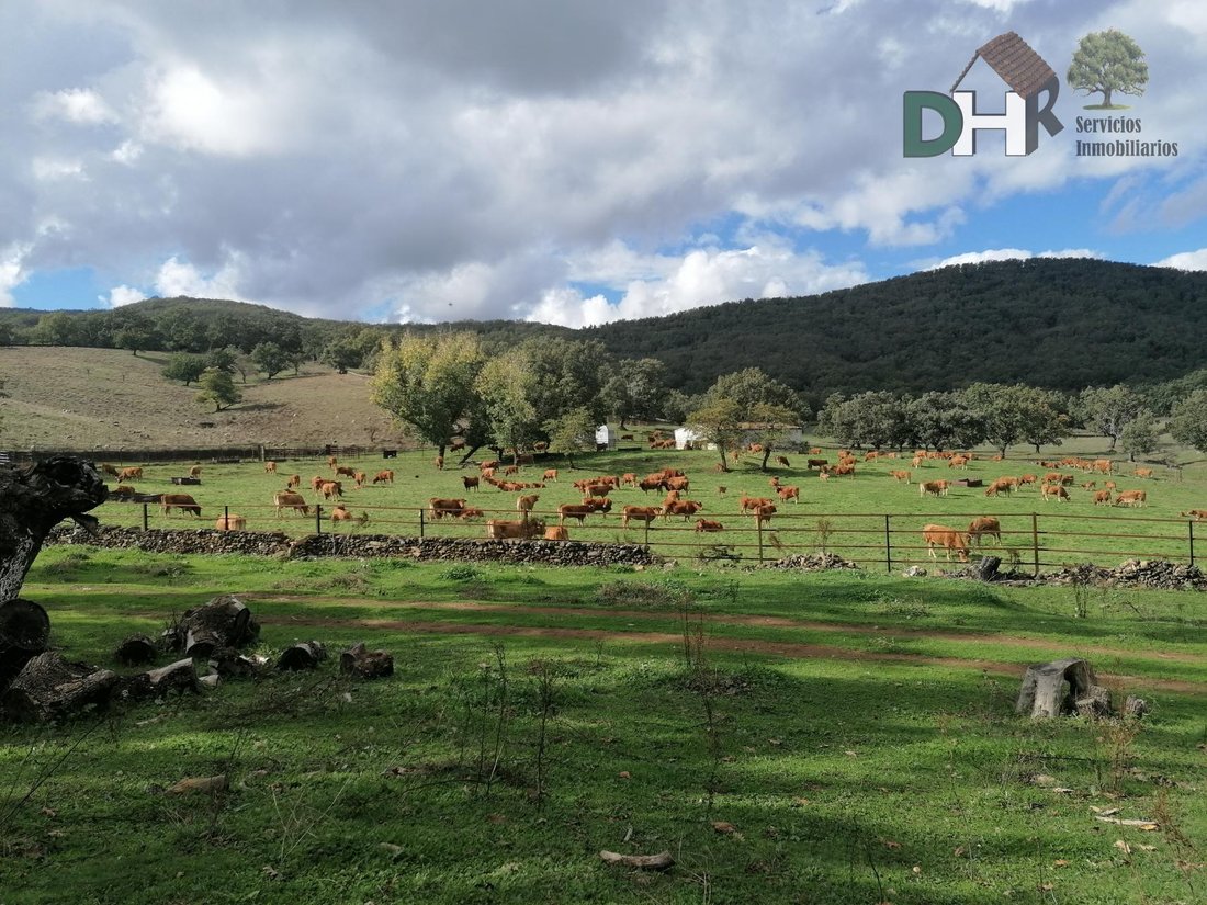 Land in Cáceres, Extremadura, Spain 1 - 13111463