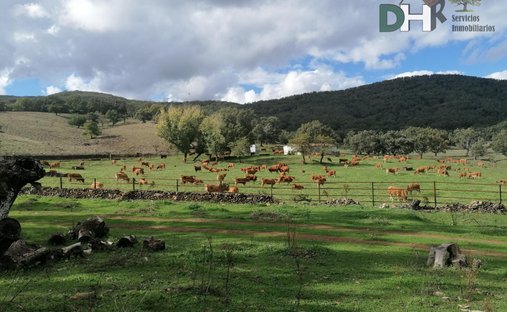 Land in Cáceres, Extremadura, Spain 1