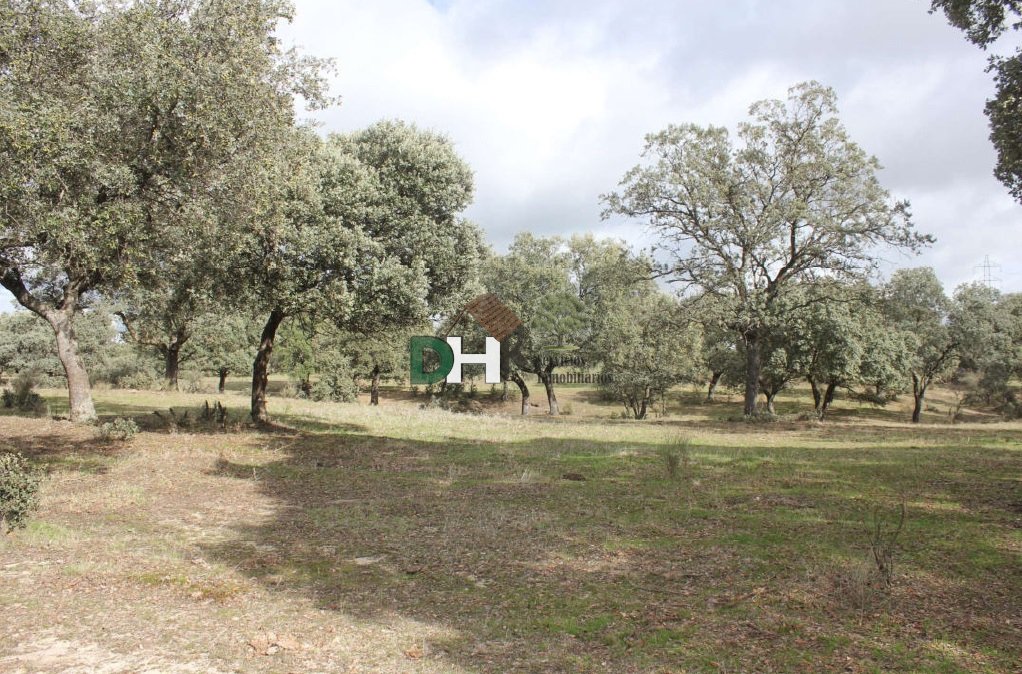 Land in Cáceres, Extremadura, Spain 5 - 13453741
