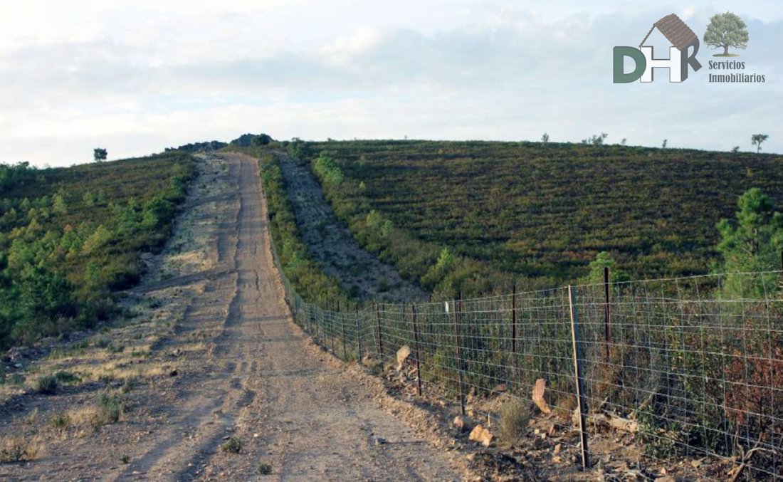 Land in Cáceres, Extremadura, Spain 4 - 13111312