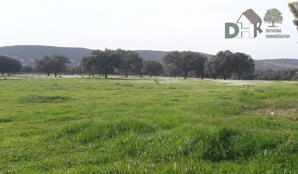 Land in Ciudad Real, Kastilien-La Mancha, Spanien 1 - 14411644