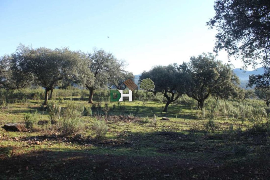 Land in Cáceres, Extremadura, Spanien 5 - 15500994