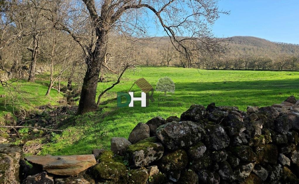 Land in Cáceres, Extremadura, Spain 2 - 15269877