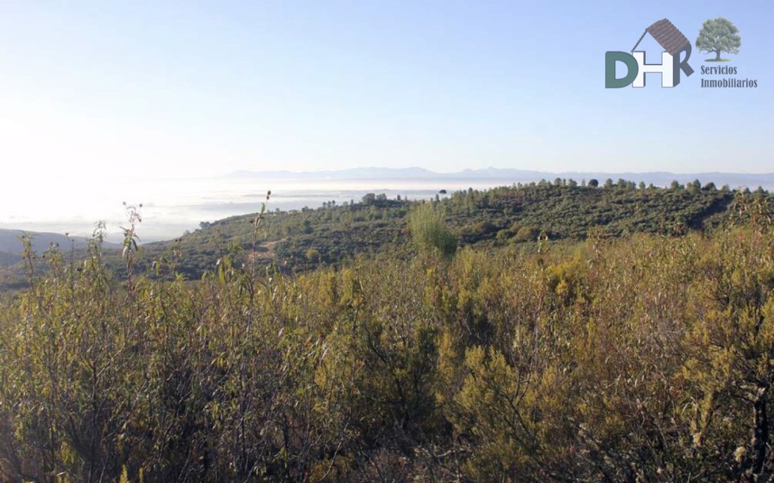 Land in Cáceres, Extremadura, Spain 5 - 13111457