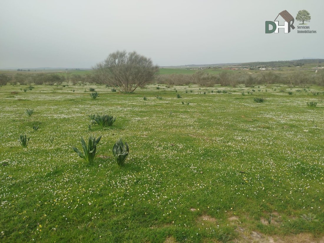 Land in Cáceres, Extremadura, Spanien 1 - 17458863