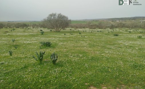 Terreno en Cáceres, Extremadura, España 1