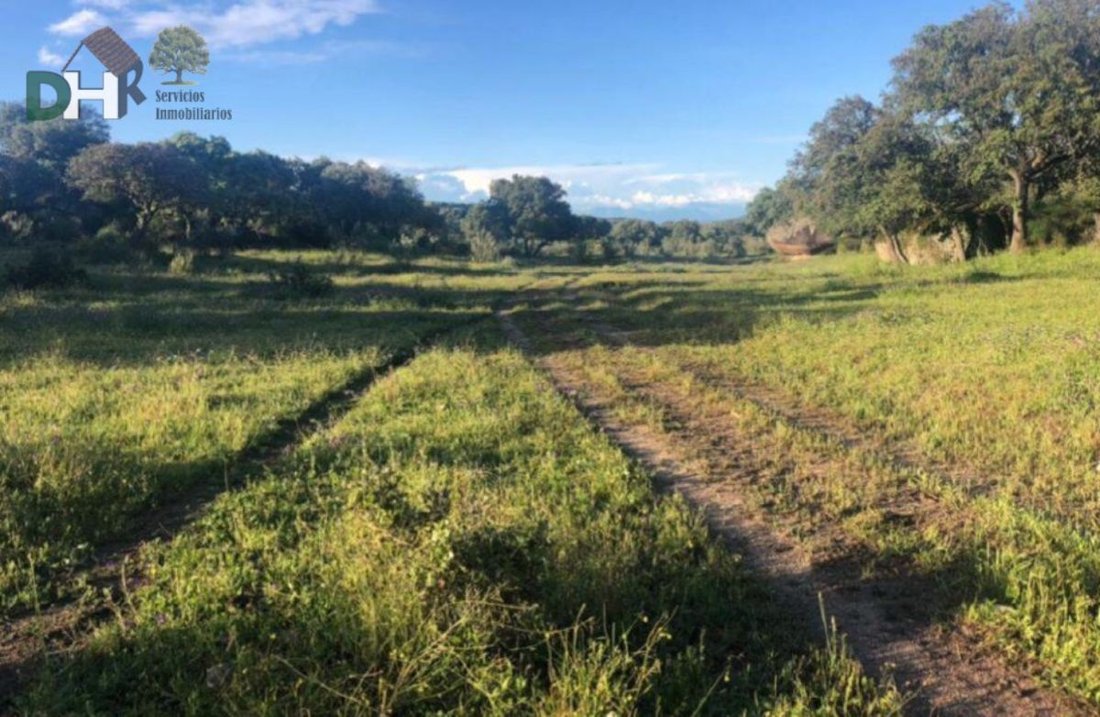 Land in Cáceres, Extremadura, Spain 1 - 13111248