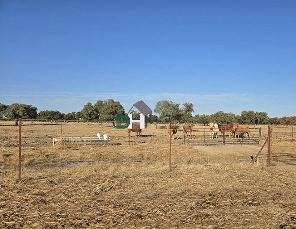 Land in Badajoz, Extremadura, Spanien 5 - 16462926