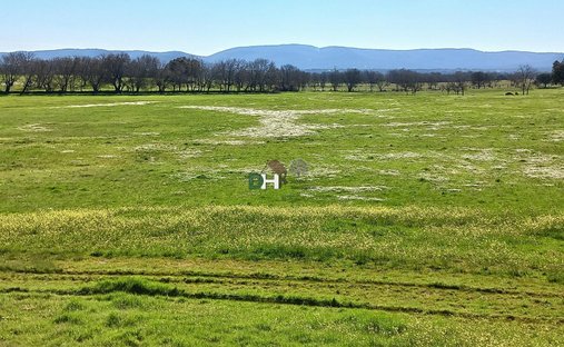 Terreno en Ávila, Castilla y León, España 1